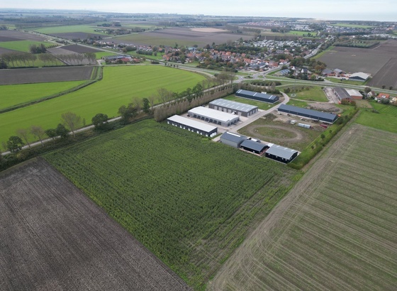Nieuwvliet