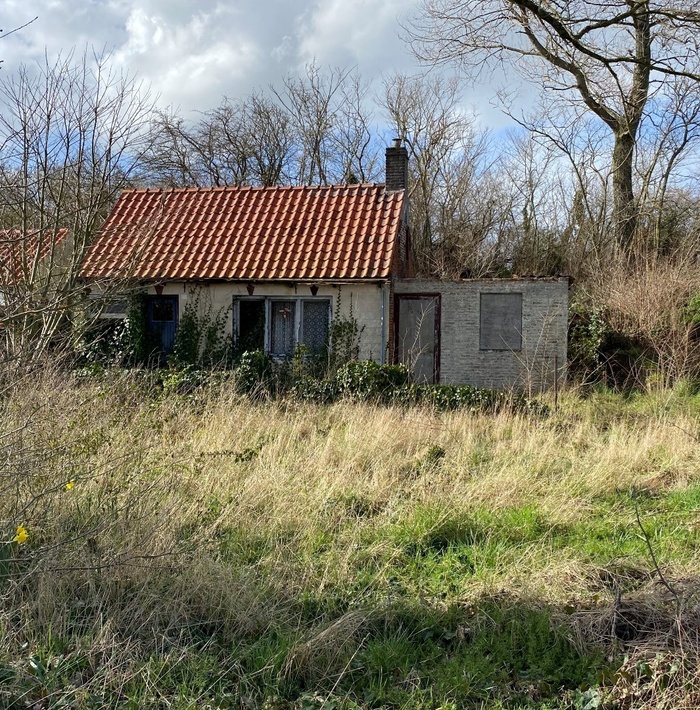 bouwenaantzwin004.jpg