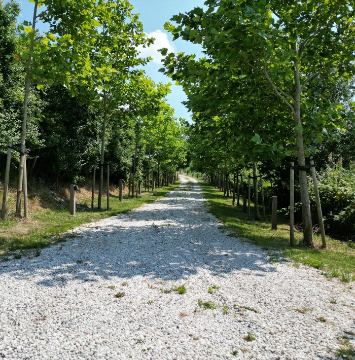 exclusiefdijkhuismeteigenguesthouse009.jpg