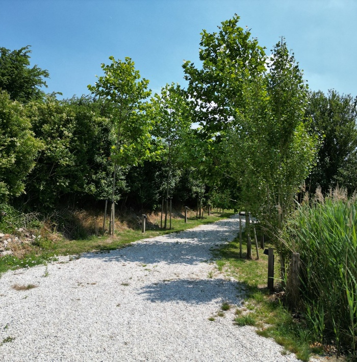 exclusiefdijkhuismeteigenguesthouse046.jpg