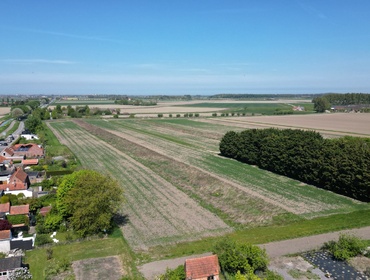 Atmospheric and luxurious terraced house in Zuidzande with unobstructed views over the fields.