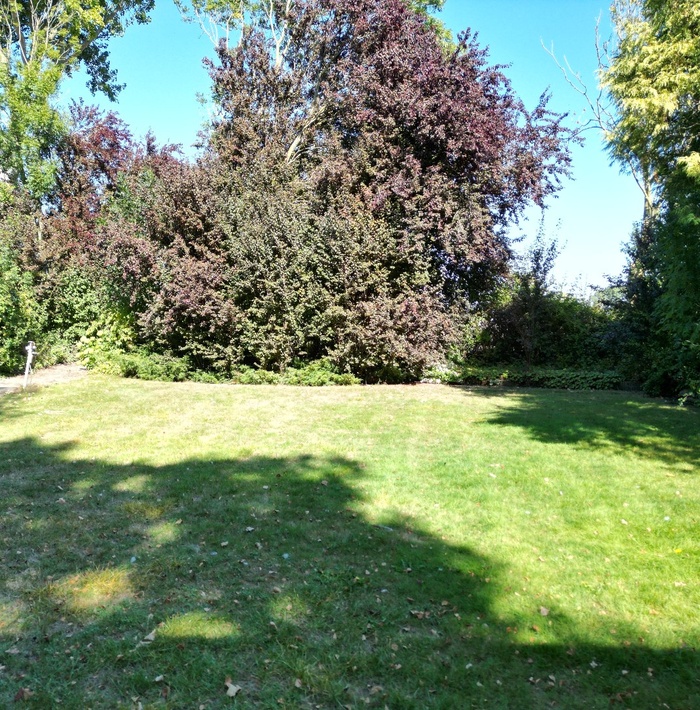 bungalowmetapartegarageenschuurtjeopeenbetoverendperceel.005.jpg