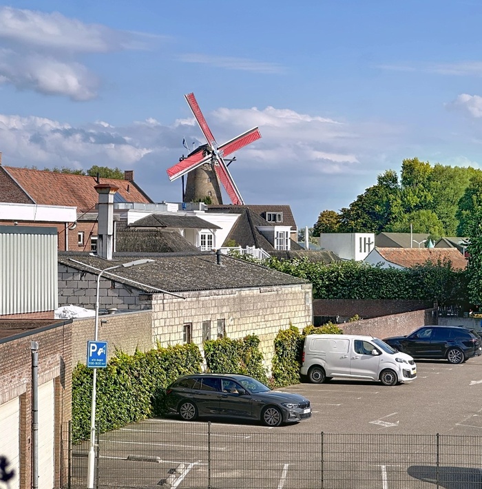 karakteristiekwoneninlebaptiste021.jpg