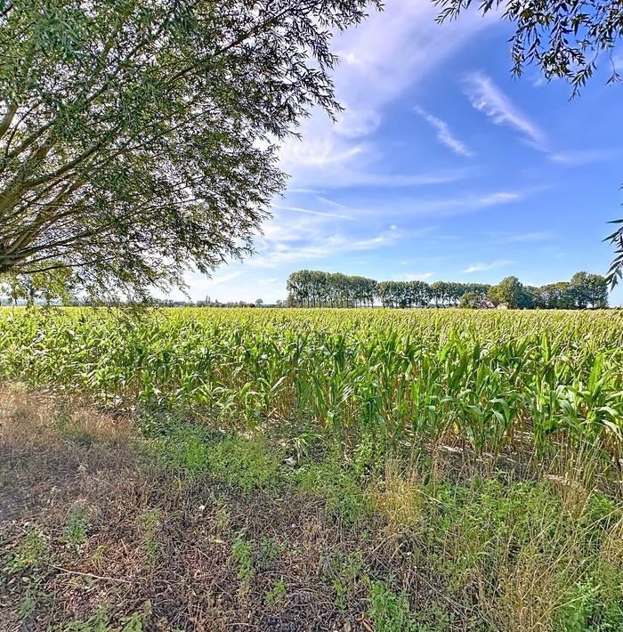 ruimenmodernwonentemiddenvandepolders026.jpg