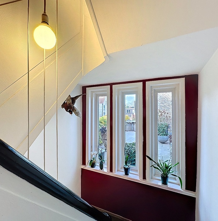 veelzijdigpandinhistorischijzendijke024.jpg veelzijdigpandinhistorischijzendijke024.jpg