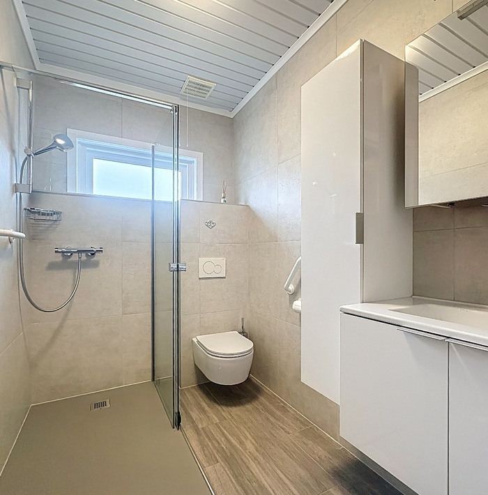 recentemansardemetgarage013.jpg recentemansardemetgarage013.jpg