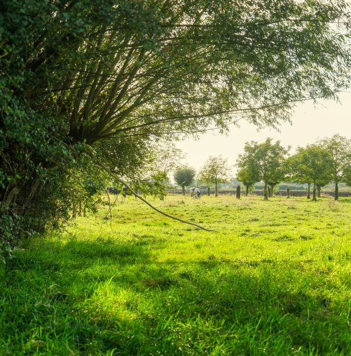 landgoedrodenburgh046.jpg landgoedrodenburgh046.jpg