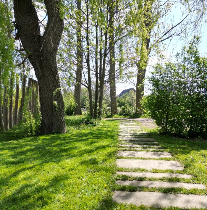 authentiekepolderwoningnabijdebressiaansestranden003.jpg authentiekepolderwoningnabijdebressiaansestranden003.jpg