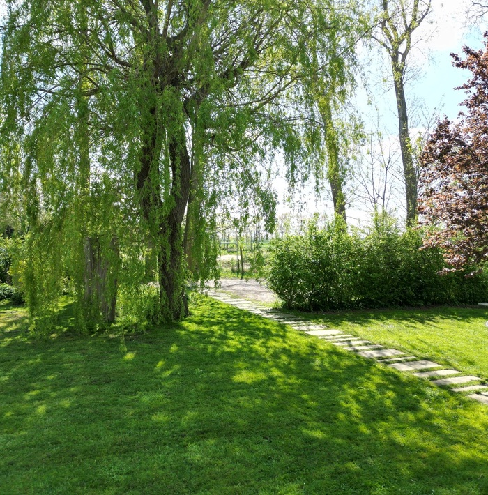 authentiekepolderwoningnabijdebressiaansestranden043.jpg authentiekepolderwoningnabijdebressiaansestranden043.jpg