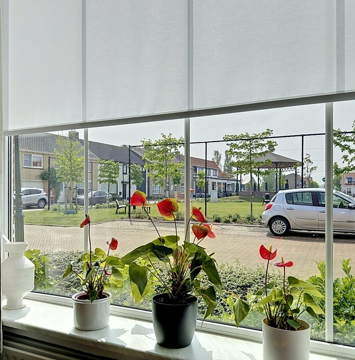 vrijstaandewoningvolpotentieaandemarkt009.jpg vrijstaandewoningvolpotentieaandemarkt009.jpg