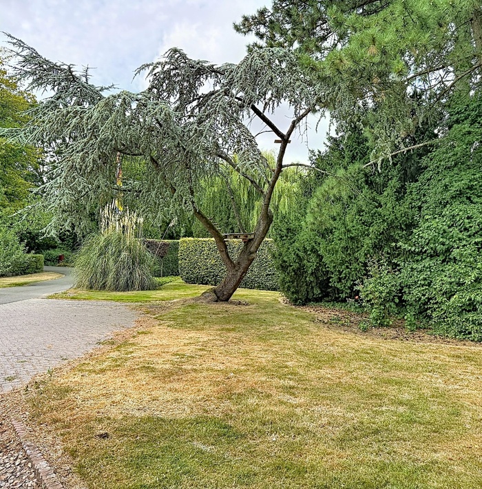 stijlvolwonenopeenparkdomein045.jpg