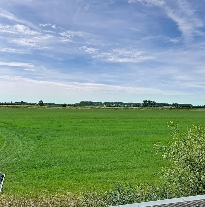 ttolhuisvansintkruis025.jpg