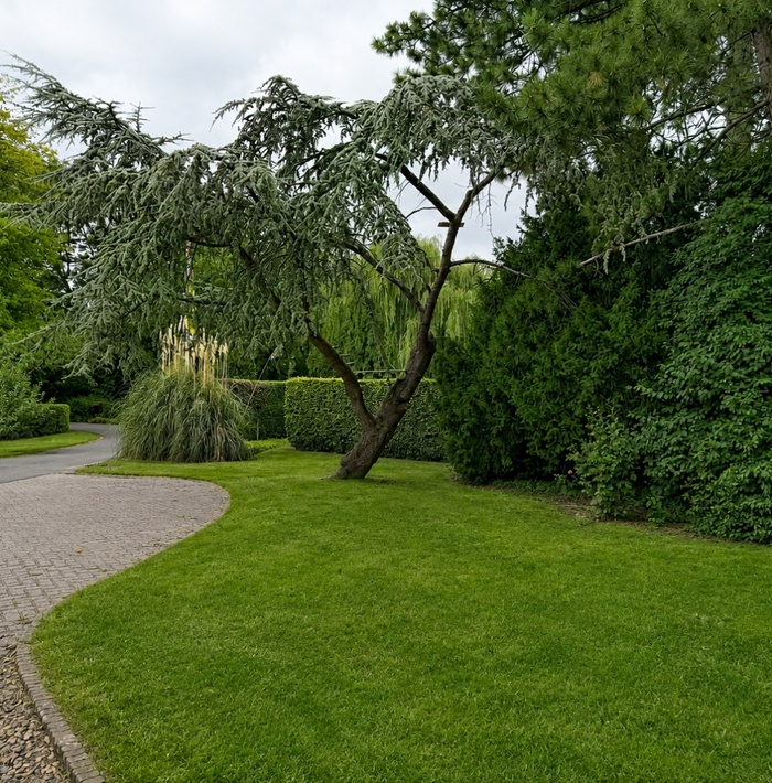 stijlvolwonenmeteigengroenesingelrondom045.jpg stijlvolwonenmeteigengroenesingelrondom045.jpg