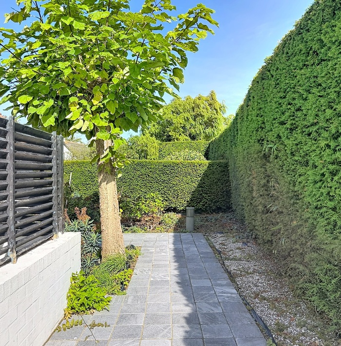 royaalenlichtrijkwonenopdegrens042.jpg royaalenlichtrijkwonenopdegrens042.jpg