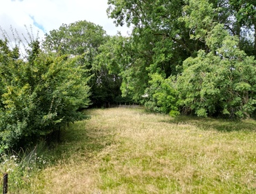 Stylish living in your own green surrounded area