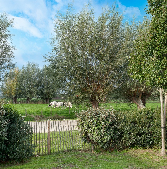 leflamandheille036.jpg leflamandheille036.jpg